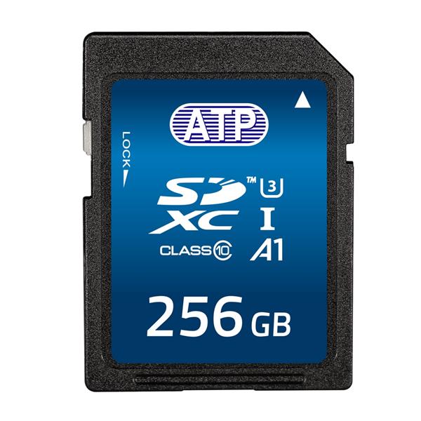 FT256GSD4APEBFC